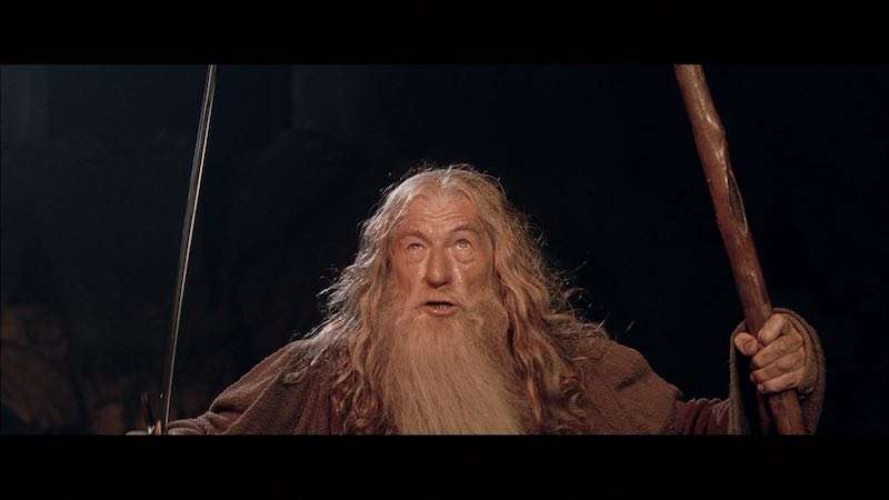 Gandalf telling you that you should stay where you are